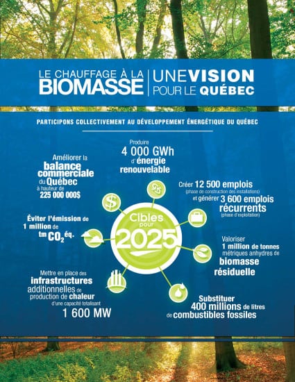 Vision Biomasse Québec brochure