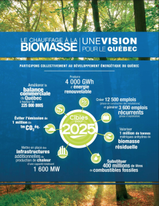 Brochure_Vision Biomasse Québec